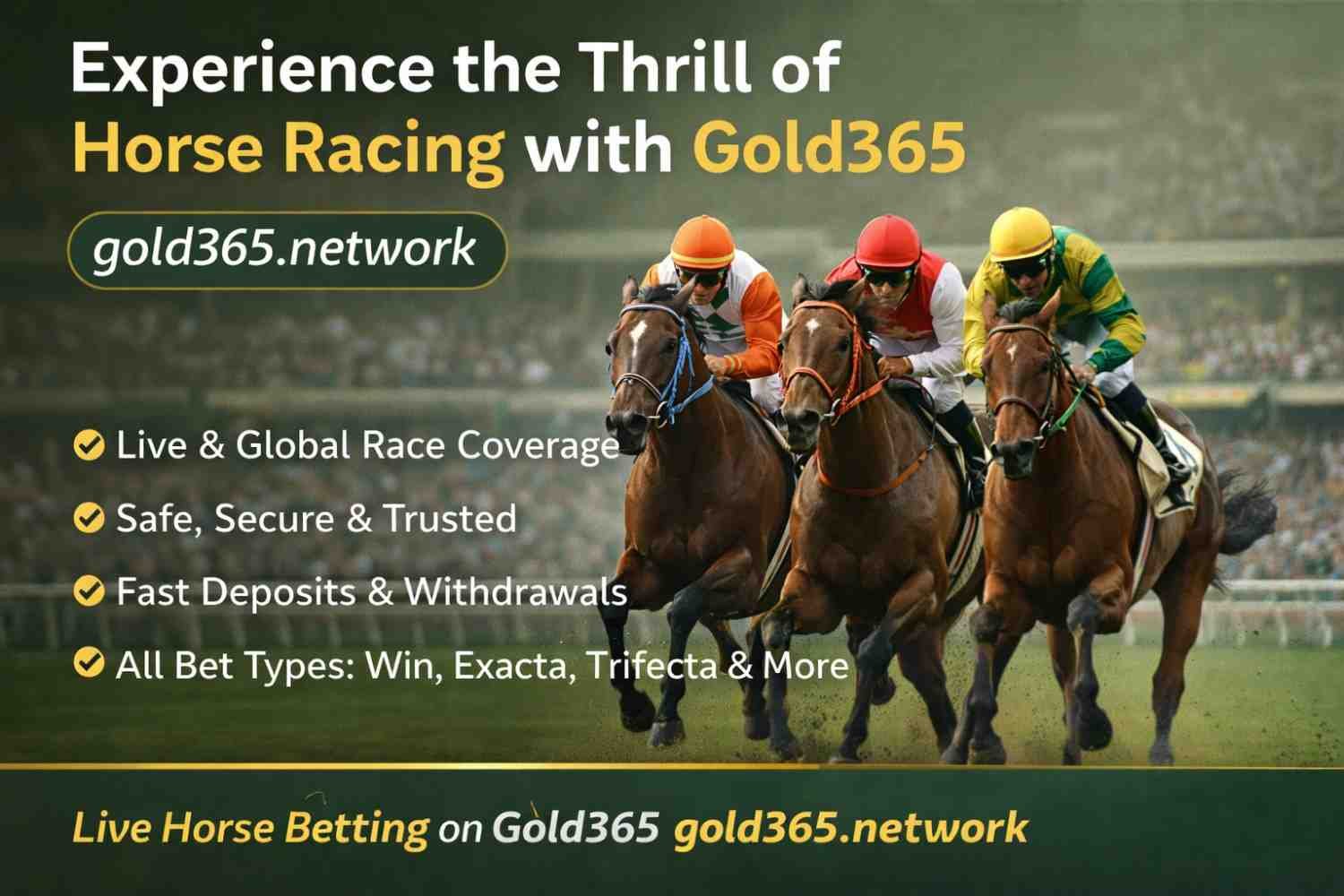 Exprience the thrill of Horse Racing with Gold365